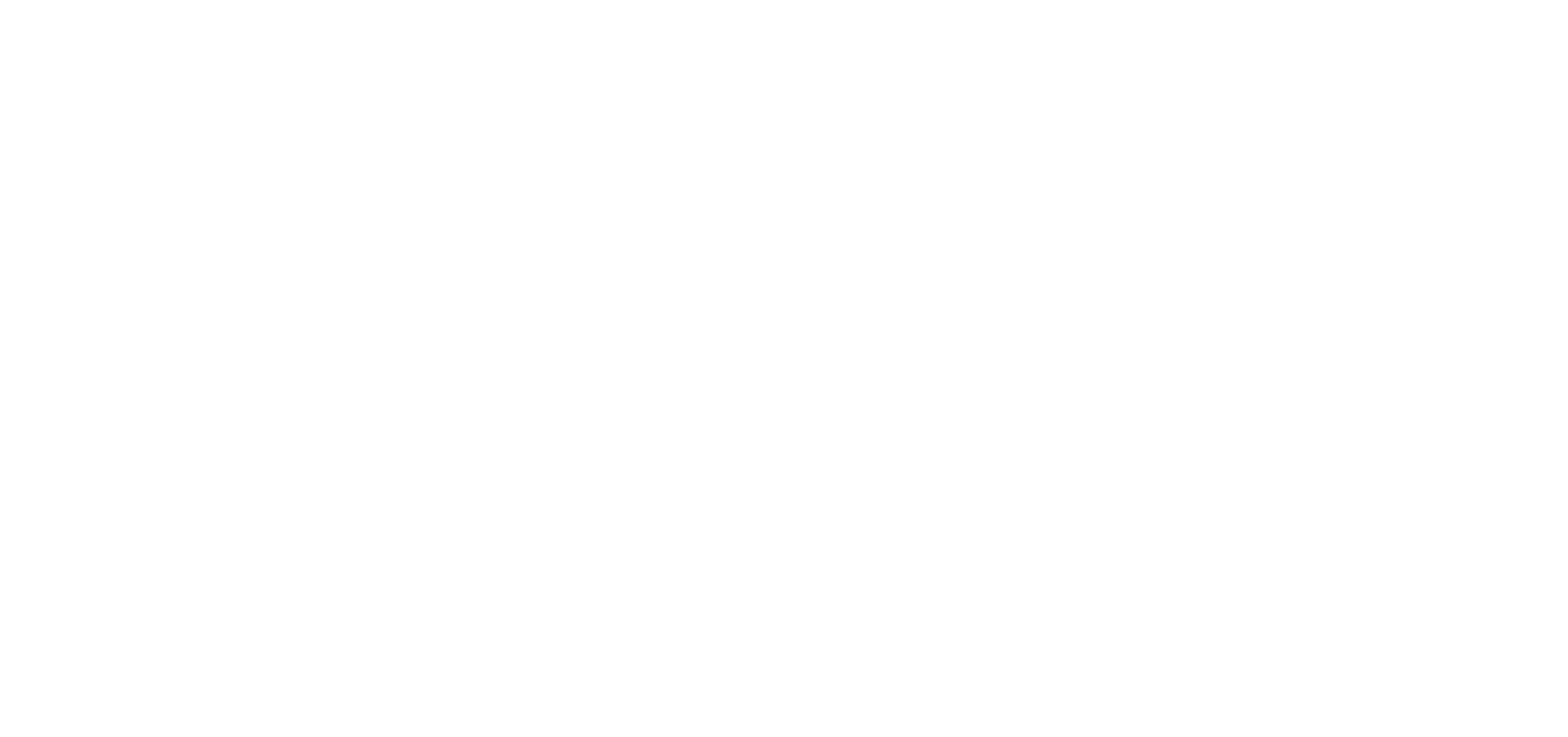 ladimweb.cz Logo